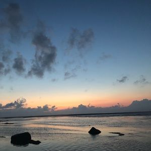 Meet your Posher, Kenzie